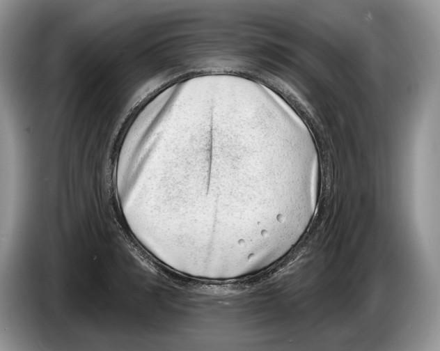 X0000086270990200704262012