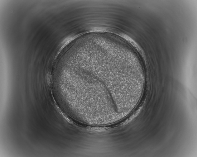 X0000086270993200704262012
