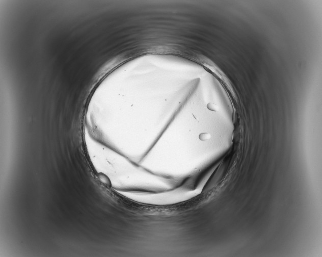 X0000086271002200704262012