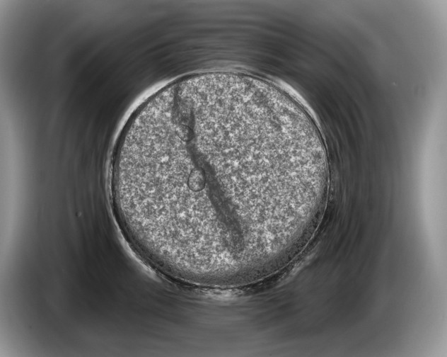 X0000086271003200704262012