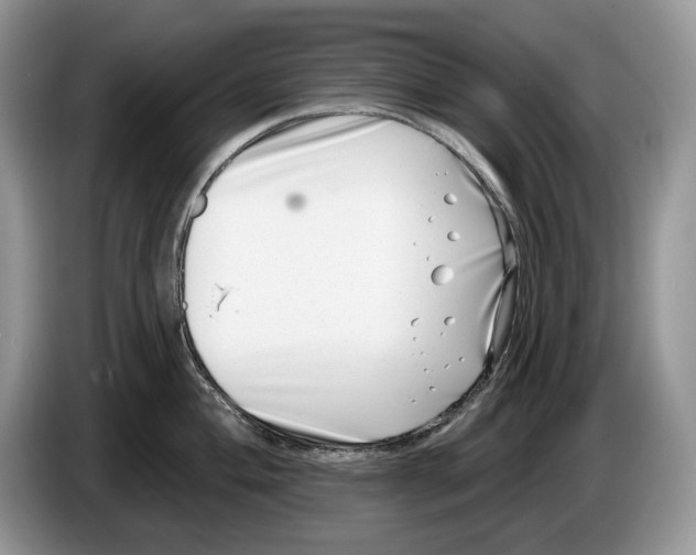 X0000086271004200704262012
