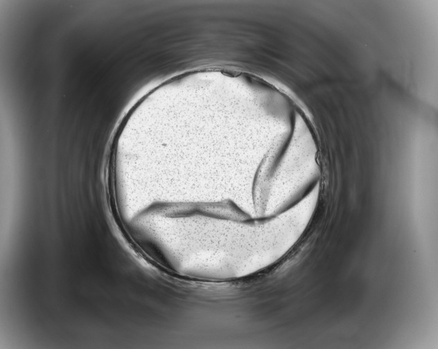 X0000086271007200704262012