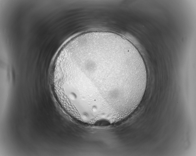 X0000086271008200704262012