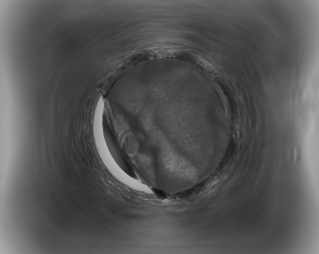 X0000086271010200704262012