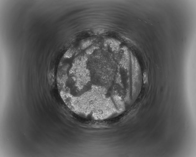 X0000086271011200704262012