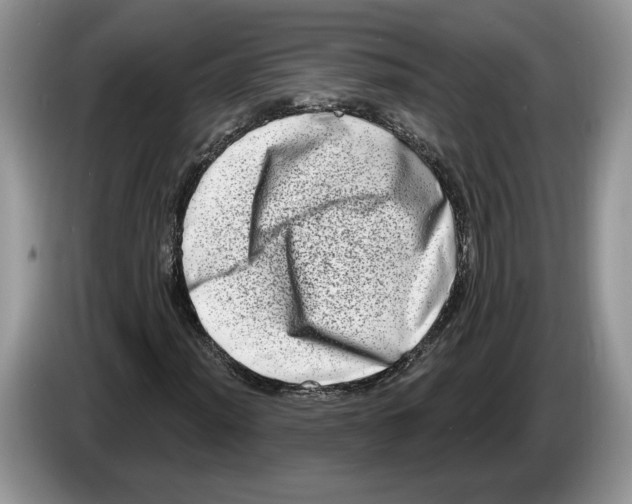 X0000086271012200704262012