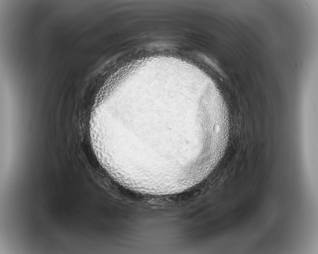 X0000086271015200704262012