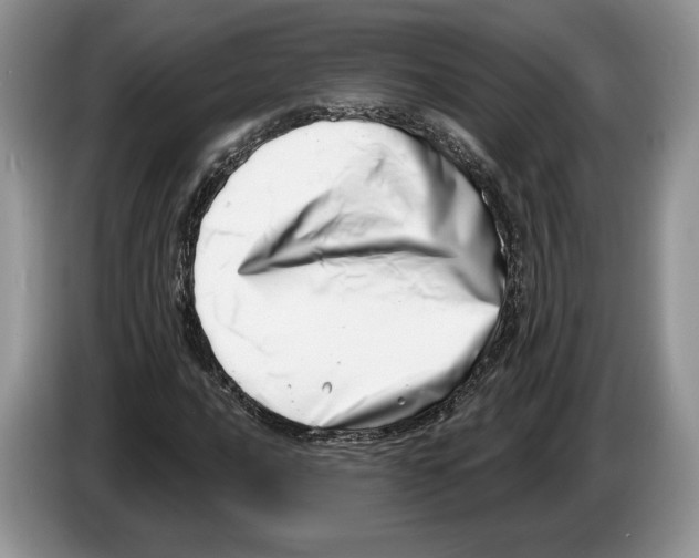 X0000086271016200704262012