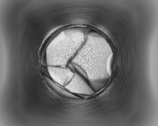 X0000086271022200704262012