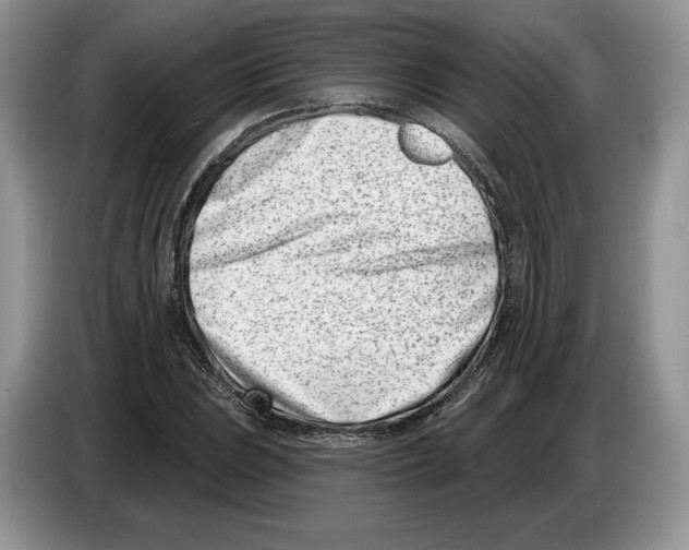 X0000086271023200704262012