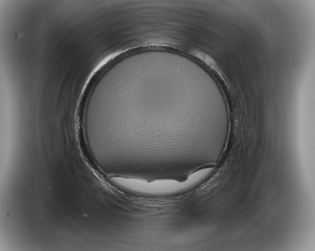 X0000086271024200704262012
