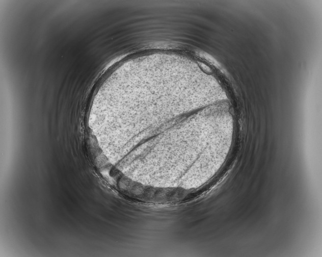 X0000086271025200704262012
