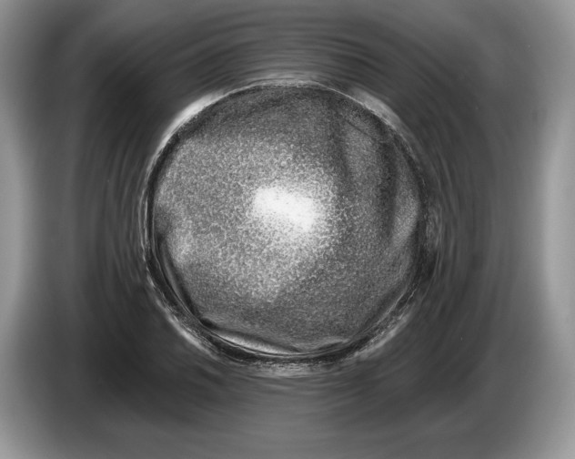 X0000086271030200704262012