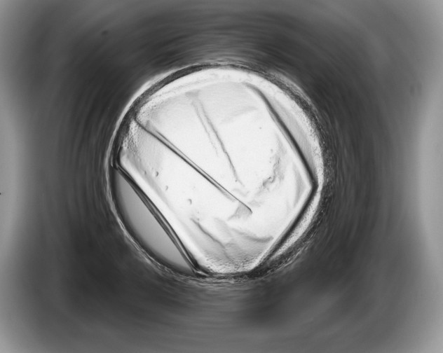 X0000086271032200704262012