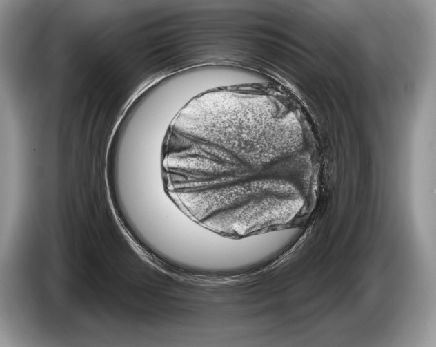 X0000086271034200704262012