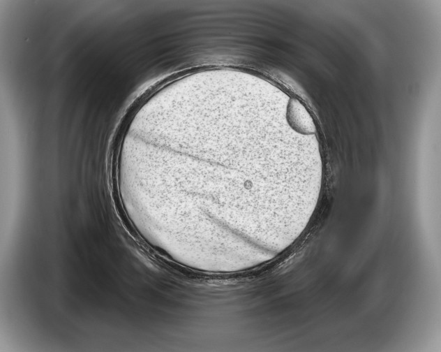 X0000086271035200704262012