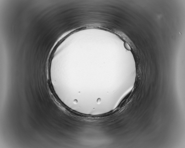 X0000086271036200704262012