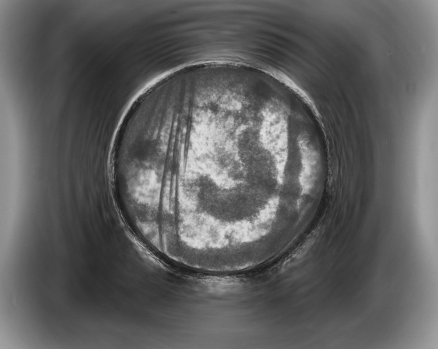 X0000086271037200704262012