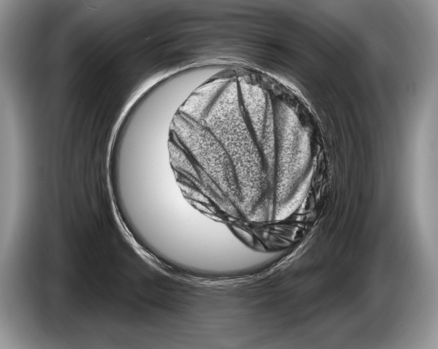X0000086271038200704262012