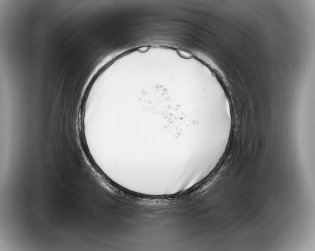 X0000086271040200704262012