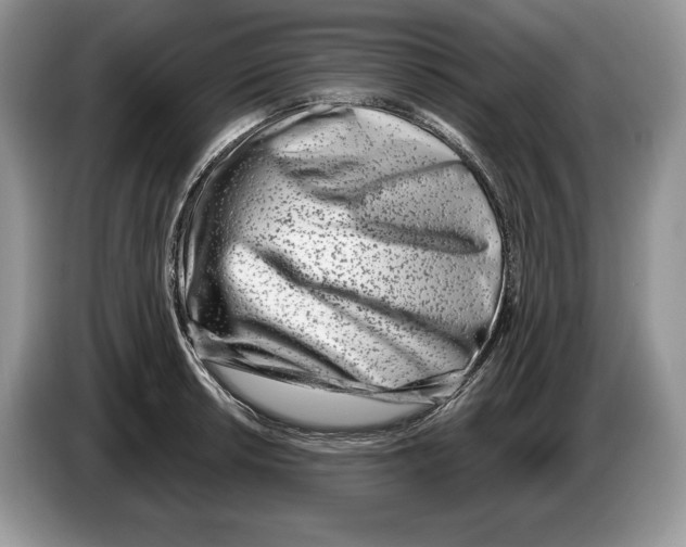 X0000086271042200704262012