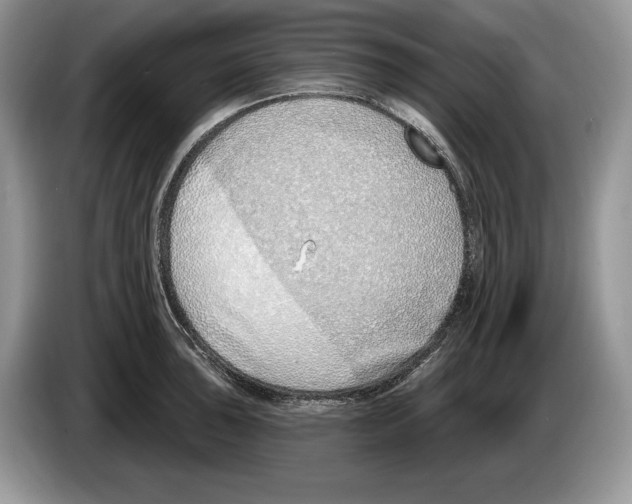 X0000086271043200704262012