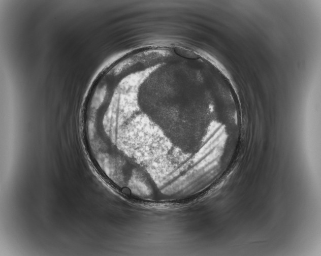 X0000086271045200704262012