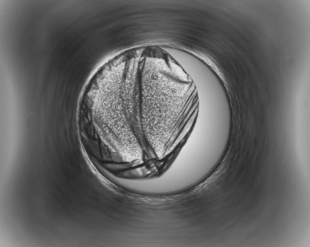 X0000086271046200704262012