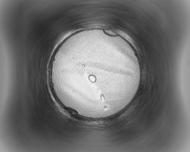 X0000086271047200704262012