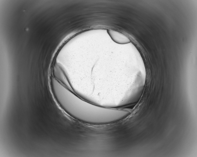 X0000086271048200704262012