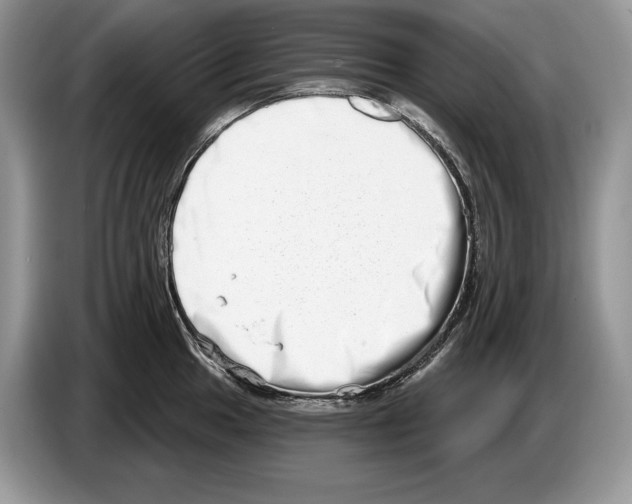 X0000086271049200704262012