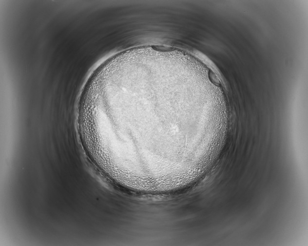 X0000086271051200704262012