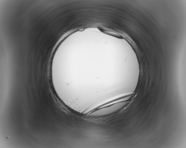X0000086271052200704262012