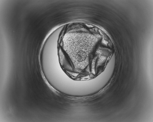 X0000086271054200704262012