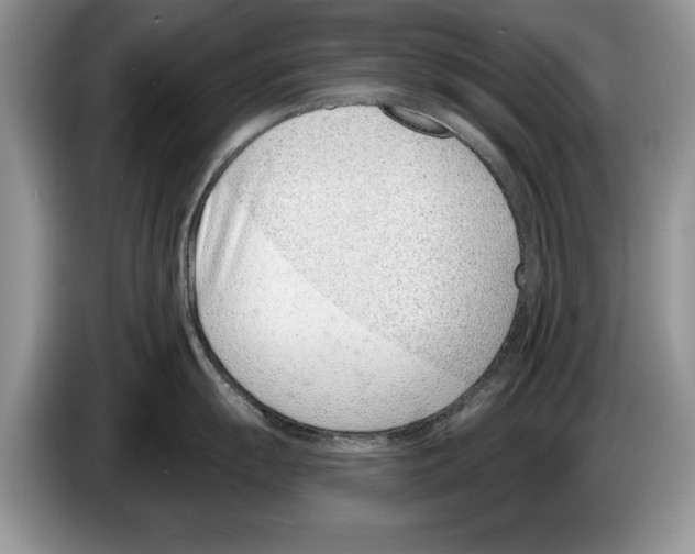 X0000086271055200704262012
