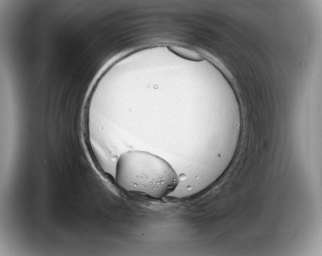 X0000086271056200704262012