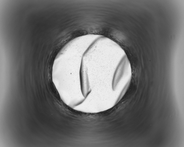 X0000086271058200704262012