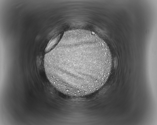 X0000086271059200704262012