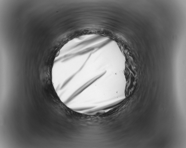 X0000086271062200704262012