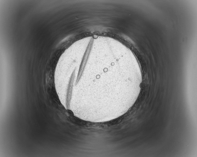X0000086271063200704262012