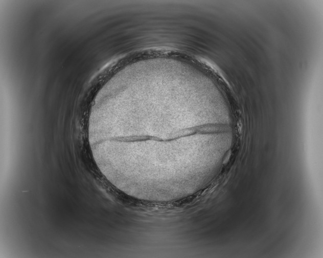 X0000086271064200704262011