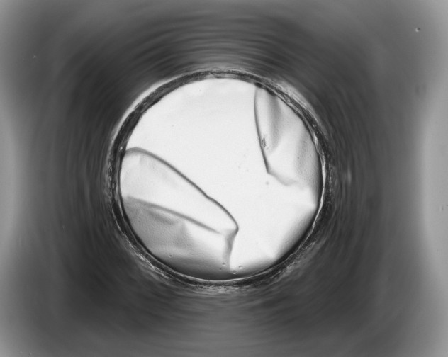 X0000086271068200704262011