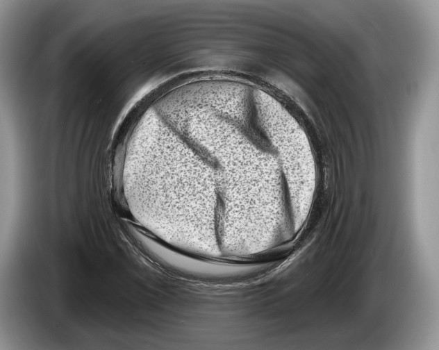 X0000086271069200704262011