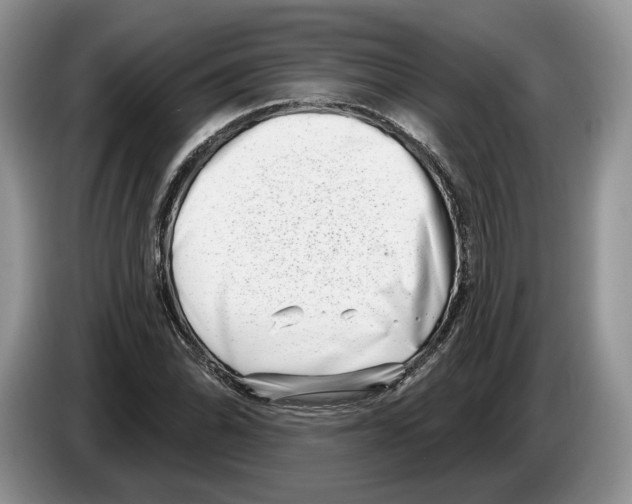 X0000086271070200704262011
