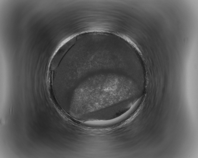 X0000086271077200704262011