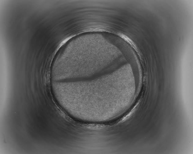 X0000086271081200704262011