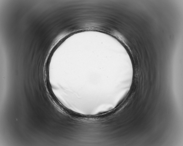X0000086271082200704262011