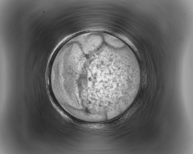 X0000086271084200704262011