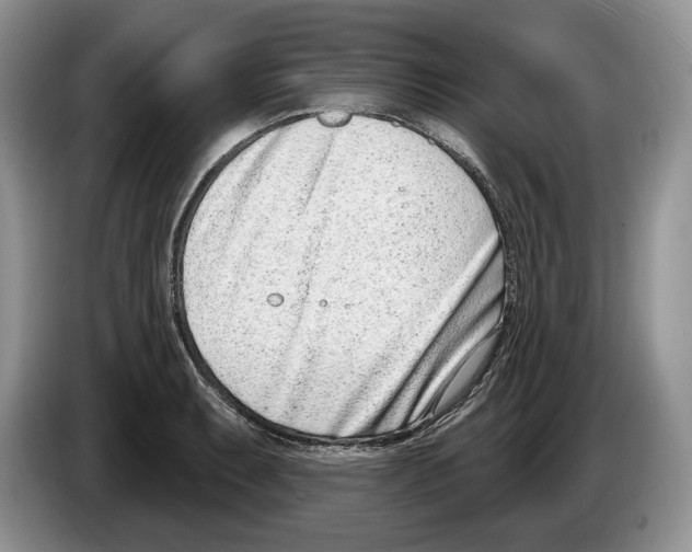 X0000086271087200704262011