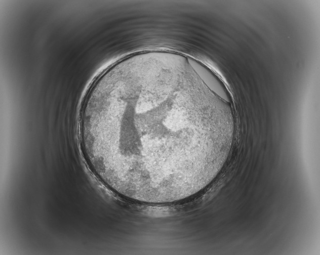 X0000086271088200704262011
